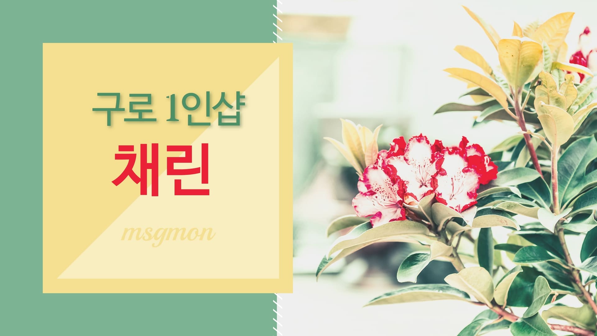 구로 1인샵 채린